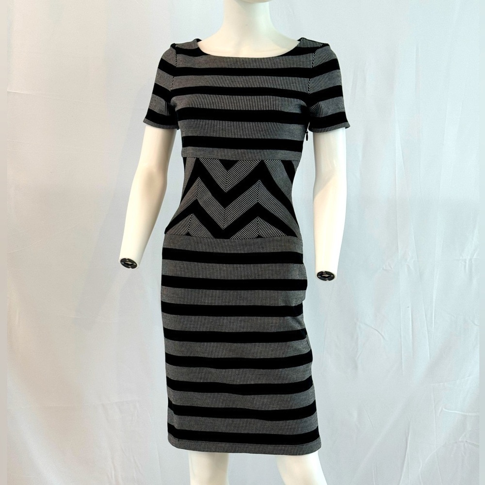 BCBG MaxAzria Roslyn Belted Gray Striped Trimmed A-line Dress